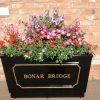 Metal planter wide and tall planted Bonar