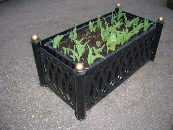 Metal planter wide decorative casing