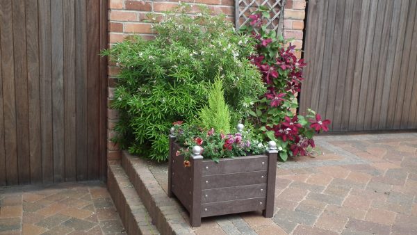 Recycled planter small steps